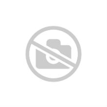 Annual Basic Maintenance Renewal Expired (Fee Waived) - Veeam Data Platform Foundation Enterprise., сертификат на техническую поддержку