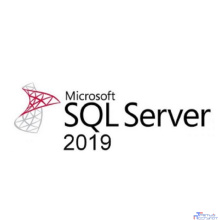 228-11574 SQL Server 2019 Standard 2 CoreLic OnlyDwnLd C2R NR (ESD)
