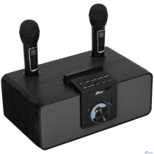 RITMIX SP-660B black { Мощность: 15 вт * 2  Частоты: 100 Гц - 20 000 Гц Чувствительно 84+-2 ДБ}