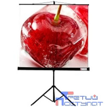 Viewscreen Clamp TCL-1102 Экран мобильный (1:1) 180*180 MW
