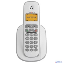 TEXET TX-D4505A белый-серый
