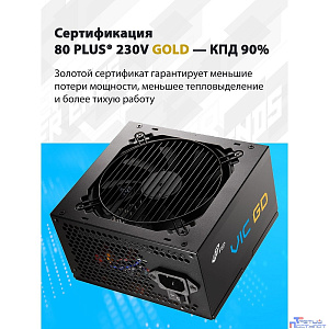 Блок питания FSP VIC-750GD ATX 750W, 80+ GOLD (POA7500101)