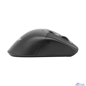 Acer OMR150 [ZL.MCEEE.00K] черный оптическая (1600dpi) беспроводная USB (6but)
