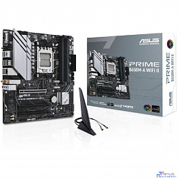 Материнские платы  ASUS (для AMD)