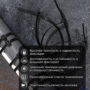 Rexant (67-0251) Стяжка нейлоновая Профессиональная 250x3,6мм, черная (100 шт/уп)