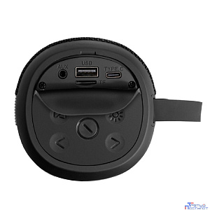 Exegate EX294944RUS Караоке-система Bro 310 (10Вт, 80-15000Гц, Bluetooth, Li-Ion, 1200mAh, FM 87.5MHz-108MHz, с поддержкой USB и TF/microSD карт,