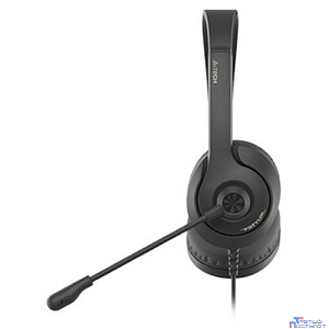 A4Tech Fstyler FH100 черный 2м накладные (FH100 (STONE BLACK))