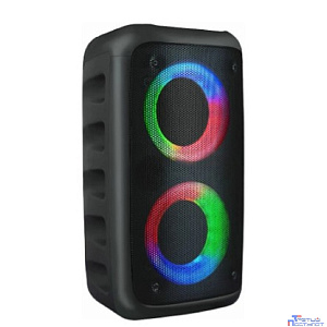 Ginzzu GM-916B (10Вт, TWS, 150Гц-18КГц, динамики 2х3,0", 2400мАч, AUX, USB-flash, микро SD,  КАРАОКЕ, FM-радио, RGB