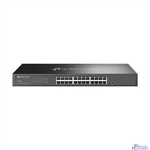 TP-Link DS1024G