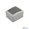 Rexant KR-78-0609 Выключатель двухклавишный KRANZ INDUSTRIAL открытой установки, IP54 серый