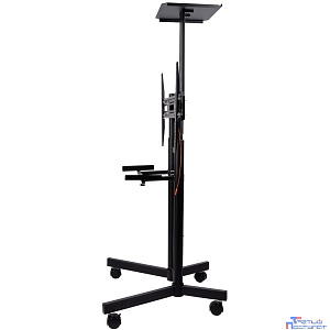Arm Media PT-STAND-8 черный 32"-80" макс.50кг напольный фиксированный