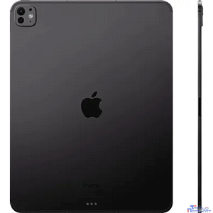 Apple iPad Pro 13" (M4) Wi-Fi + Cellular 256Gb with Standard glass Space Black (MVXR3HN/A)
