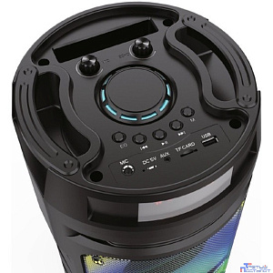 Ginzzu GM-219 {(V5.0), 50Вт, 150Гц- 18кГц, USB-flash, microSD-card, FM-радио, пульт ДУ,  батарея 3,6В/4500мАч, эквалайзер }