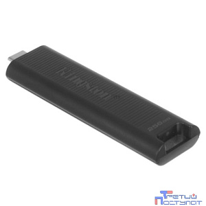 Kingston USB Drive 256Gb DataTraveler Type-C Max DTMAX/256GB USB3.2 черный