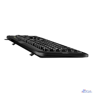 Клавиатура Genius Smart KB-118, {Черный, проводная, USB, 104 клавиши, регулировка наклона} [31310051402]