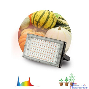 ЭРА Б0057284 Фитопрожектор для растений светодиодный FITO-80W-Ra90-LED-Y полного спектра