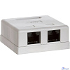 Bion Внешняя сетевая розетка BXP-ENS-C5E-2P-1 RJ-45 cat. 5e, 2 порта, 110&Krone