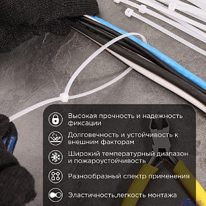 Rexant (67-0300) Стяжка нейлоновая Профессиональная 300x3,6мм, белая (100 шт/уп)