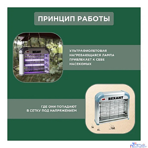 Rexant 71-0036 Антимоскитная лампа 2х6Вт, 220В (R60)