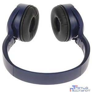 Panasonic RB-HF420BGEA (Мониторные Bluetooth наушники (Синий)