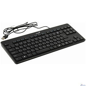 Клавиатура проводная Genius LuxeMate 110 black USB (31300012404)
