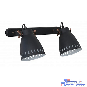 Camelion WML-428-2  С02  чёрный (Светильник настенный New York,2х E27, 40Вт, 230В, металл)