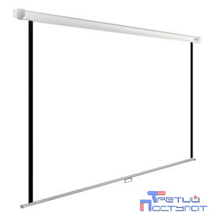 Экран Cactus WallExpert CS-PSWE-220x220-WT 220x220 см 1:1 настенно-потолочный рулонный
