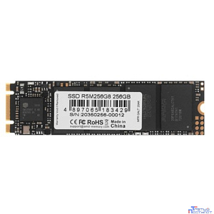 AMD SSD M.2 256GB Radeon R5 R5M256G8