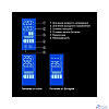 Exegate EX292791RUS ИБП ExeGate Power Smart ULB-1000.LCD.AVR.2SH <1000VA/550W, LCD, AVR, 2*Schuko, Black>