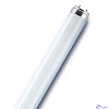 Лампа люминесцентная Osram Basic 18Вт 4000К G13 нейтральный белый свет (упаковка 25 шт)