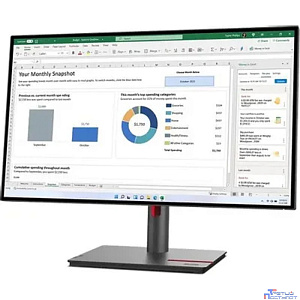 LCD Lenovo 27" P27h-30 ThinkVision черный {IPS 2560x1440 60Hz 6ms 16:9 1000:1 350cd 178/178 DVI HDMI DisplayPort HAS Pivot USB}