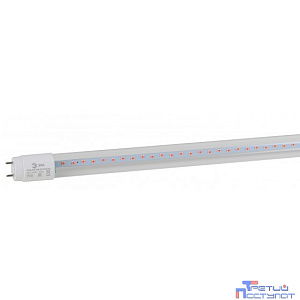 Эра Б0042986 Фитолампа для растений светодиодная FITO-9W-RB-Т8-G13-NL и мясных прилавков 9 Вт Т8 G13 красно-синего спектра