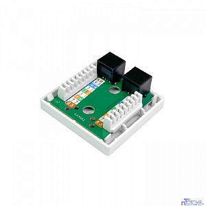 NTSS Компьютерная розетка NTSS PREMIUM настенная 2 порта RJ-45 UTP CAT5e NTSS-CS2-PM-UTP-2RJ45-5e