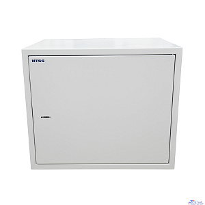 NTSS Шкаф настенный антивандальный распашной NTSS WAR 8U 550*400мм, 2 профиля 19, сварной, серый RAL 7035 NTSS-WAR8U5540
