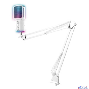 RITMIX RDM-278 USB Gaming White {Подключение  Type-C - USB A / Type-C, Jack 3,5 мм на наушники; размеры микрофона: 5 * 15* 5 см}