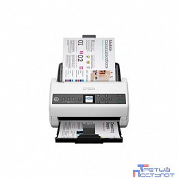 Сканеры Epson