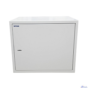 NTSS Шкаф настенный антивандальный распашной NTSS WAR 10U 600*500мм, 2 профиля 19, сварной, серый RAL 7035 NTSS-WAR10U6050