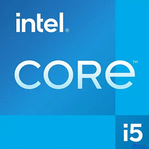 CPU Intel Core i5-12600K Alder Lake OEM {3.7 ГГц/ 4.9 ГГц в режиме Turbo, 20MB, Intel UHD Graphics 770, LGA1700}