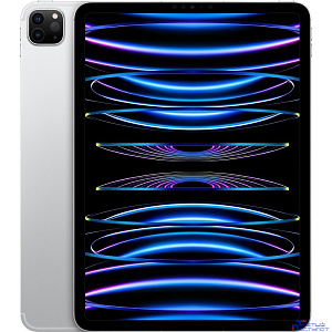 Apple iPad Pro 11-inch (4th Gen) Wi-Fi 512Gb Silver (MNXJ3LL/A)