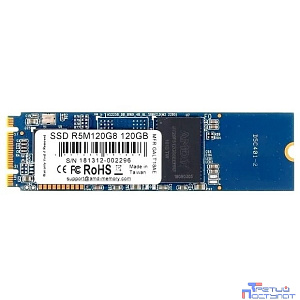 AMD SSD 120GB Radeon R5 Client, M.2, R5M120G8