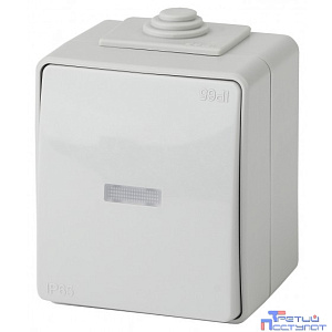 Эра Б0035981 11-1610-03 Переключатель с подсветкой IP65, 10АХ-250В, ОУ, Эра Эксперт, серый