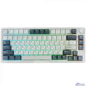 Клавиатура RK-H81 беспроводная White Night, линейные свитчи RK Sky Cyan