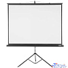 Экран на треноге Lumien 128x171см Master View LMV-100106 4:3 напольный рулонный