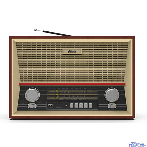 RITMIX RPR-102 WOOD {ФМ радиоприёмник 4-диапазонный (FM/AM/SW1/SW2), с разъемом для наушников, вход AUX, воспроизв. с micro SD карт памяти или USB флэш носителей,д/у}