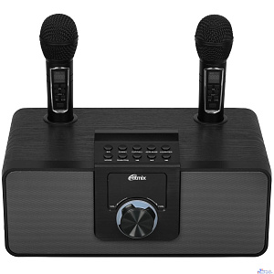 RITMIX SP-660B black { Мощность: 15 вт * 2  Частоты: 100 Гц - 20 000 Гц Чувствительно 84+-2 ДБ}