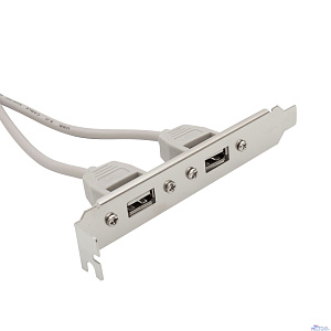 Bion планка портов 2xUSB2.0, 30 см [BXP-MB-2USB]