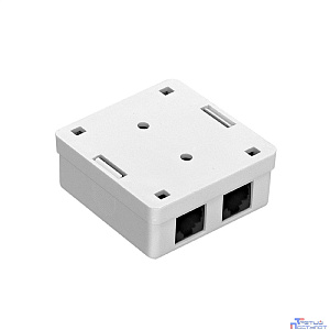Exegate EX292845RUS Розетка внешняя двойная ExeGate SM2-RJ45-C6 RJ-45 кат.6 UTP Krone/110