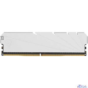 Netac DDR4 DIMM 8GB NTSSD4P32SP-08W PC4-25600, 3200MHz