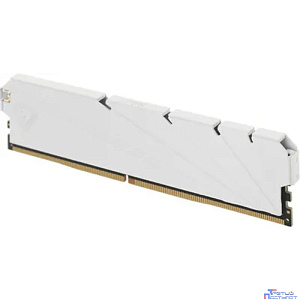 Netac DDR4 DIMM 8GB NTSSD4P32SP-08W PC4-25600, 3200MHz