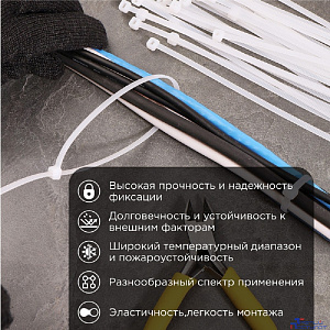 Rexant (67-0200) Стяжка нейлоновая Профессиональная 200x3,6мм, белая (100 шт/уп)